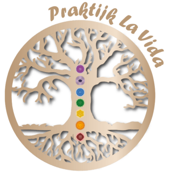 Logo Praktijk La Vida
